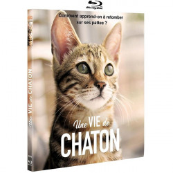 Une Vie De Chaton [Blu-Ray]