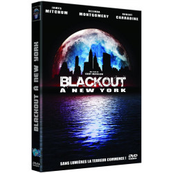 Black-out à New York [DVD]